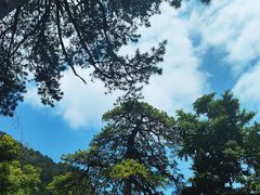 -北京上方山国家森林公园