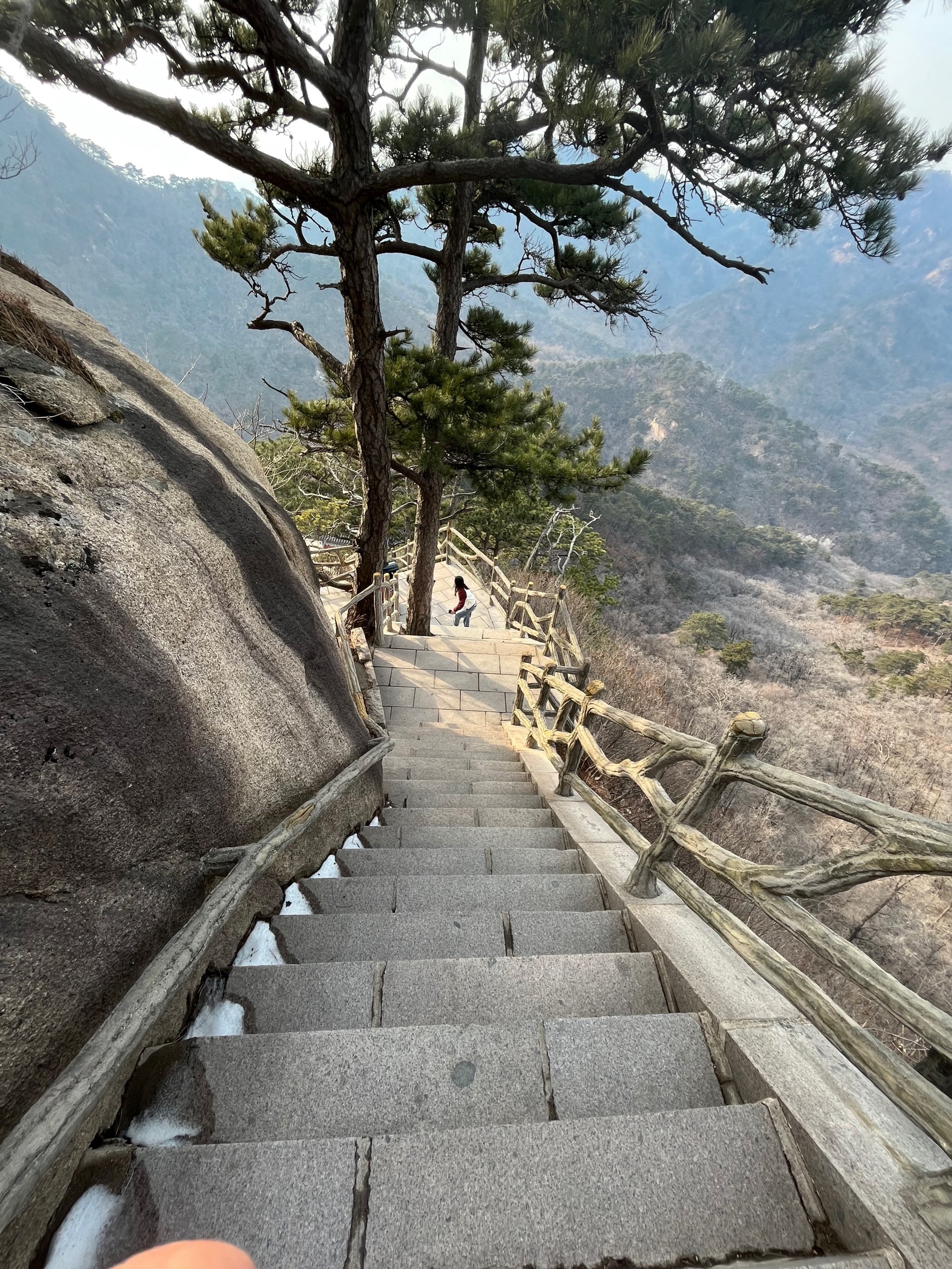 攀枝花玉佛寺登山步道图片