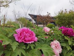 -北京雁栖湖国际会展中心