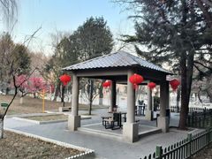 -黄村公园