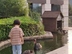 -行者书屋大堂吧 ·下午茶(南京圣和府邸酒店)