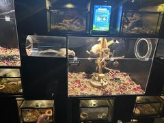 -太平洋海底世界