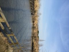 iphone_upload_pic-溱湖国家湿地公园