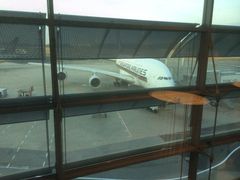 iphone_upload_pic-新加坡航空公司(ION)