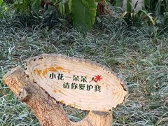 -成都市活水公园
