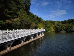 -深圳仙湖植物园
