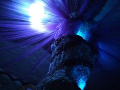 -水晶之星洗浴温泉汗蒸