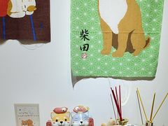 -柴迷FANS CLUB·柴犬狗咖·猫咖