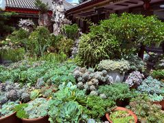 -山菌美食苑(振兴路店)