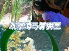 -沈阳海洋探索中心