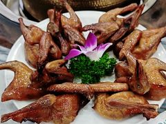 -鸽鸟轩(石岐店)