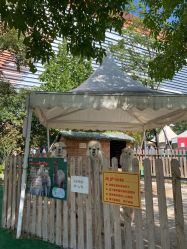 -萌宠亲子动物乐园(槐房万达店)