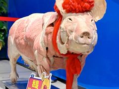 -生命奥秘博物馆