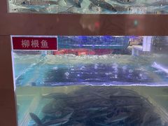 -石锅苗苗鱼(武汉首店)