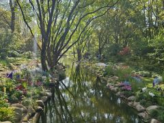 -上海共青森林公园