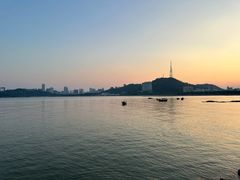 -芒洲湿地公园