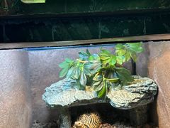 -上海海洋水族馆