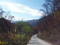 -五女峰国家森林公园