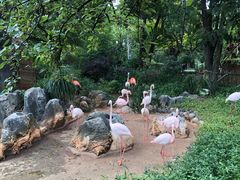 -昆明动物园