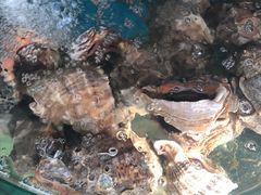 -聚德福海鲜家常菜(刘庄店)