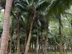 -白沙门生态公园