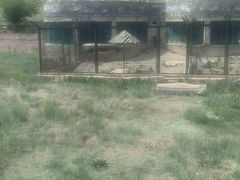 -新疆天山野生动物园