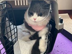 -达爱动物医院·犬猫分区·CT·复杂眼科(远洋山水分院)