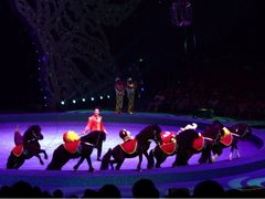 -珠海横琴长隆《卡卡虎奇遇记》