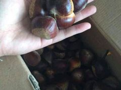 android_upload_pic-加顺农场餐厅