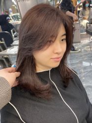 -sy杉影印象COLOUR专业烫染