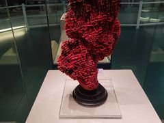 -上海中国航海博物馆