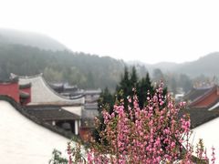 -雪峰寺