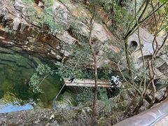 -大鄣山卧龙谷景区