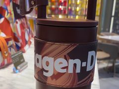 -哈根达斯(虹口店)