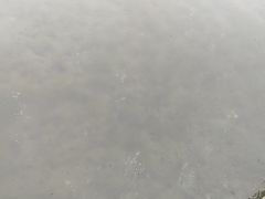 -百脉泉景区