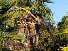 -威勒比开放式动物园