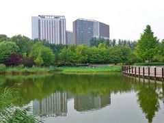 -大望京公园