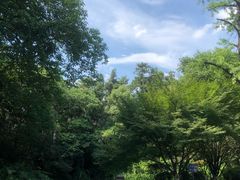 -杭州半山国家森林公园