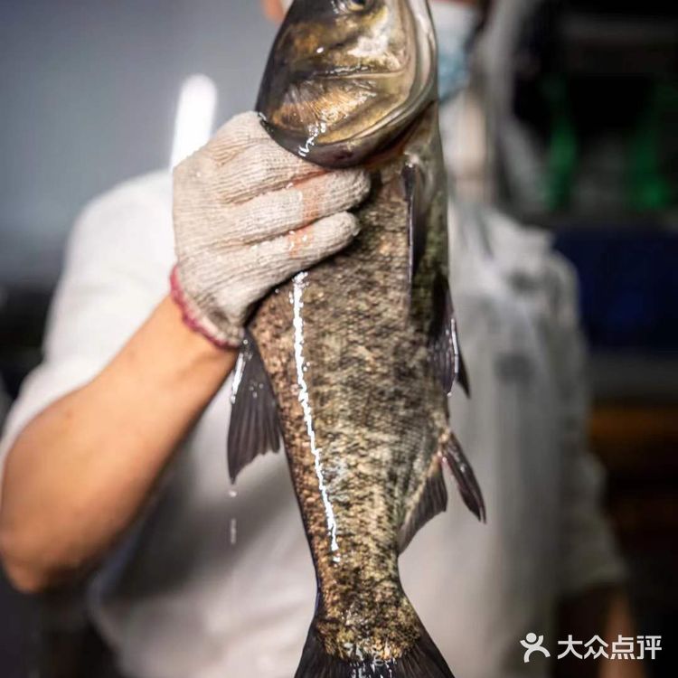 这家店!20年前的物价,爷青回了!