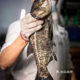 这家店！20年前的物价，爷青回了！