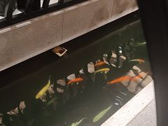 -龙悦湾酒家·八阵鱼生·渔人码头店