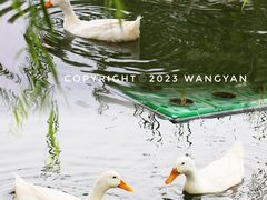 -莲花池公园