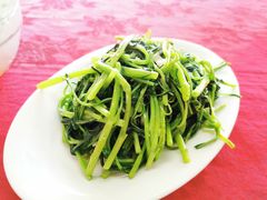 -蛇口康乐快餐鱼仔档(翠苑小区店)