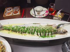 -沪碟·精菜坊(闵行店)