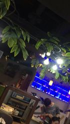 -Ly形象设计