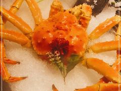 -62°上清优选