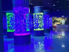 -石家庄极地海洋世界