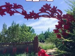 -武清南湖绿博园