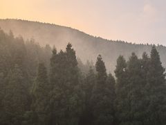 -武陵山森林公园