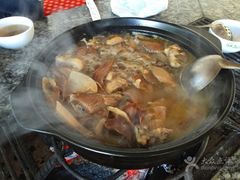 -蘑统田下·野生菌火锅